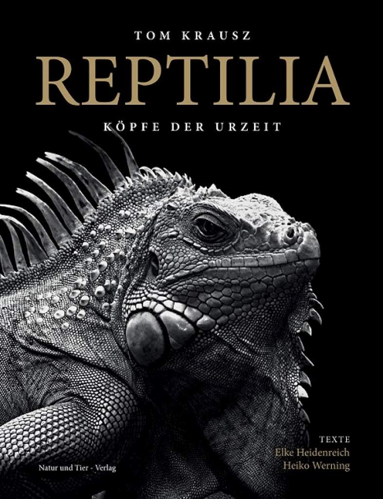 REPTILIA – Köpfe der Urzeit